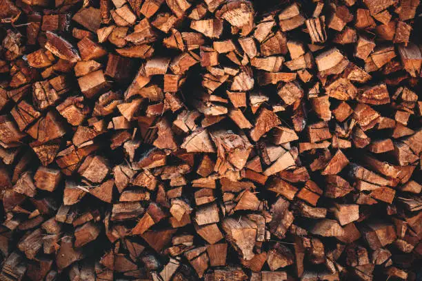 What do you dream about Woodpile?